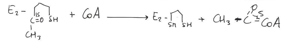 formación acetil CoA