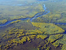 humedales y cambio climático por el metano